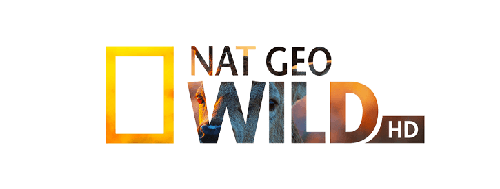 BUY BEST IPTV SUBSCRIPTION PROVIDER nas-wlid-2.png