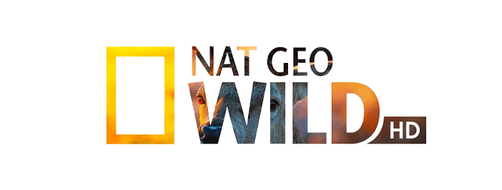 nas-wlid-2.png